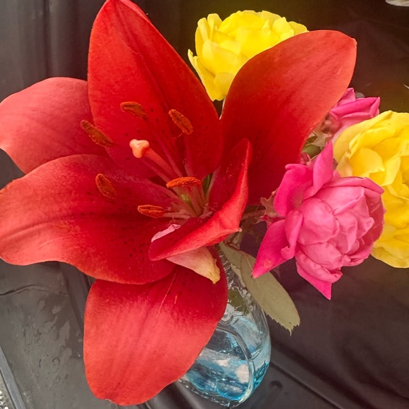 Meet your Posher, - Picture 9 of 15